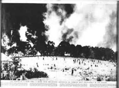 Newspaper Clipping - Digital Image, Bushfire 1960s, 1960s