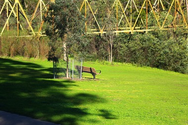 Photograph - Digital Image, Marilyn Smith, The Separation Tree Greensborough 2019, 02/07/2019