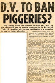 Newspaper Clipping - Digital Image, D.V. to ban piggeries? 1966, 19/07/1966