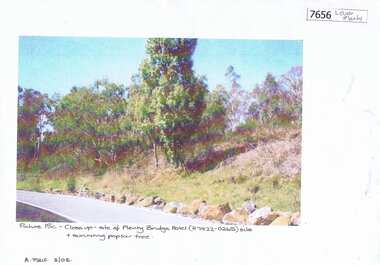 Photograph - Photograph (Copy), Anne Paul, Plenty Bridge Hotel site, 2003_03