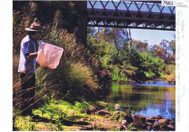 Photograph - Photograph (Copy), Anne Paul, Water Watch under old bridge, Lower Plenty 1990s, 1990s