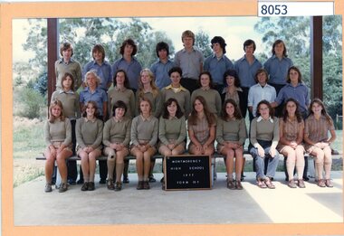 Photograph - School Photograph, Martin Joyce Colour Studios, Montmorency High School 1977. Form 10 F, 1977