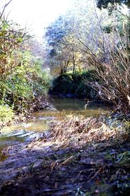 Slide - Photograph, John Ramsdale, Plenty River behind football ground: Slide 51, 1990s