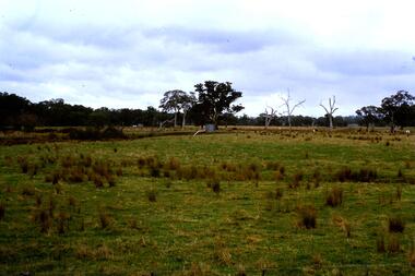 Slide - Photograph, John Ramsdale, Flood plain of the Plenty River: Slide 90, 1990s