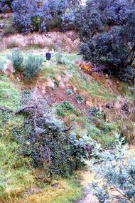 Slide - Photograph, John Ramsdale, Slumping erosion along the Plenty River: Slide 110, 1990s