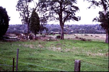 Slide - Photograph, John Ramsdale, Near scar tree Yallambie: Slide 48, 1990s
