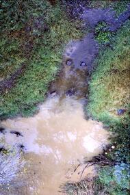 Slide - Photograph, John Ramsdale, Run off into Plenty River: Slide 64, 1990s