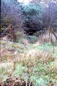 Slide - Photograph, John Ramsdale, Poorly managed farmland: Slide 121, 1990s