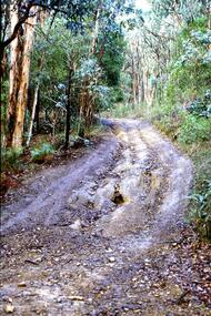 Slide - Photograph, John Ramsdale, Barbers Creek, Mernda: Slide 6, 1990s