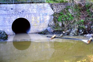Slide - Photograph, John Ramsdale, Drain into Plenty River: Slide 8, 1990s