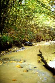 Slide - Photograph, John Ramsdale, Plenty River: Slide 15, 1990s