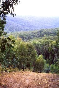 Slide - Photograph, John Ramsdale, Upper Plenty: Slide 35, 1990s