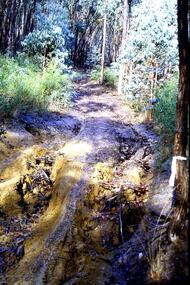 Slide - Photograph, John Ramsdale, Erosion from trail bikes: Slide 36, 1990s