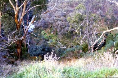 Slide - Photograph, John Ramsdale, Looking down on Plenty Gorge: Slide 38, 1990s