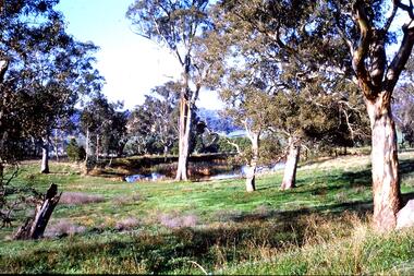 Slide - Photograph, John Ramsdale, Farmland Yallambie: Slide 49, 1990s