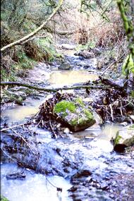 Slide - Photograph, John Ramsdale, Plenty River with low water flow: Slide 54, 1990s