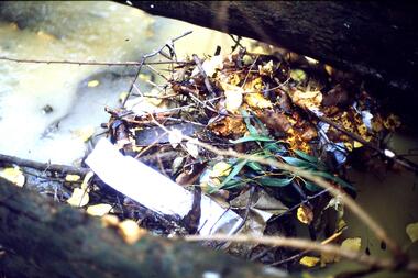 Slide - Photograph, John Ramsdale, Rubbish in Plenty River: Slide 58, 1990s