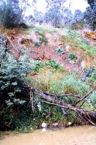 Slide - Photograph, John Ramsdale, Poor riverbank management: Slide 62, 1990s