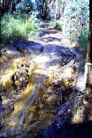 Slide - Photograph, John Ramsdale, Gully erosion - motorbike track: Slide 77, 1990s