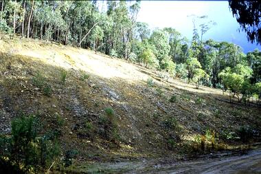 Slide - Photograph, John Ramsdale, Headwaters of the Plenty River: Slide 81, 1990s