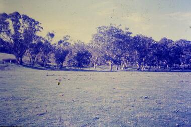 Slide - Photograph, John Ramsdale, South of Yan Yean: Slide 88, 1990s