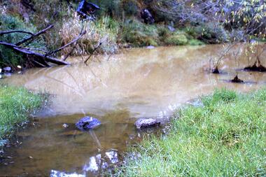 Slide - Photograph, John Ramsdale, Muddy Plenty River: Slide 93, 1990s