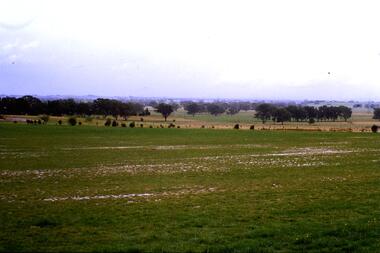 Slide - Photograph, John Ramsdale, Plenty River flood plain: Slide 95, 1990s