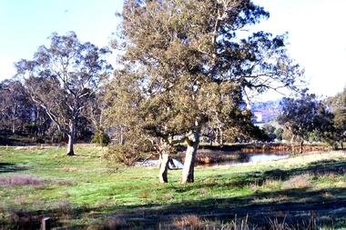Slide - Photograph, John Ramsdale, Lower Plenty with Odyssey House in background: Slide 103, 1990s