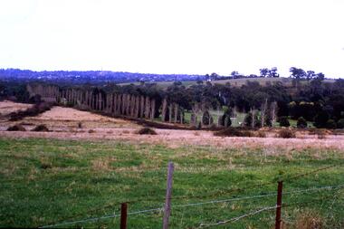Slide - Photograph, John Ramsdale, Lower Plenty and Rosanna Golf Course: Slide 111, 1990s