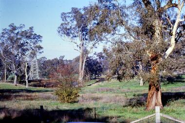 Slide - Photograph, John Ramsdale, Near the confluence of the Plenty and Yarra Rivers, Lower Plenty: Slide 118, 1990s