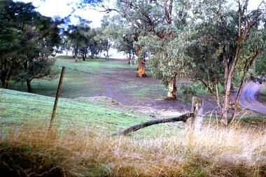 Slide - Photograph, John Ramsdale, Erosion on overgrazed property: Slide 124, 1990s