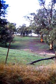 Slide - Photograph, John Ramsdale, Erosion on overgrazed property: Slide 125, 1990s