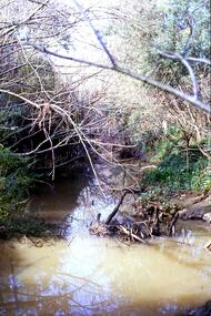 Slide - Photograph, John Ramsdale, Plenty River near Apollo Parkways: Slide 128, 1990s