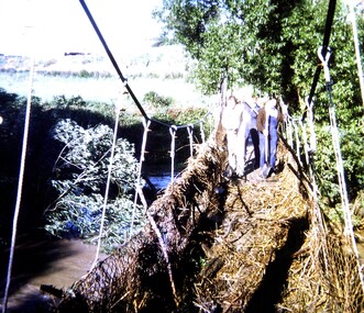 Slide - Photographic Slide, Swing bridge Greensborough, 1974