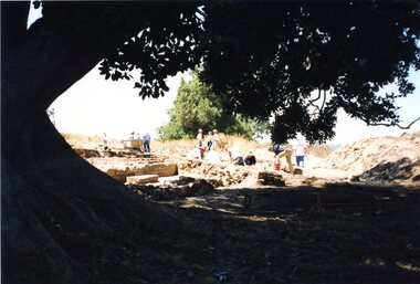 Photograph, Jan Macdonald, Viewbank Homestead dig seen through trees, 1999