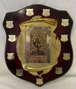 Award - Trophy, Thomastown Golf Club, Thomastown Golf Club. Jack Shaw Memorial Trophy 1982-1988, 1982-1988