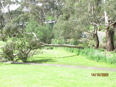 Photograph - Photograph - Digital Image, Peter Simmenauer, Plenty River floods near Plenty Lane 2022, 14/10/2022