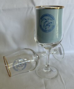 Domestic object - Glasses, Greensborough Secondary College, Greensborough Secondary College glasses, 1990s