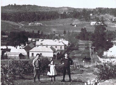 Photograph, Diamond Creek