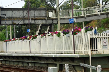 Photograph - Photograph - Digital Image, Marilyn Smith, Greensborough Railway Station garden and carpark 2021, 2021_02