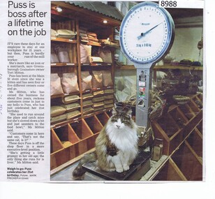 Article - Newspaper Clipping, Diamond Valley News, Puss is boss after a lifetime on the job, 10/09/2008