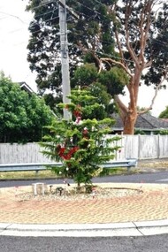 Photograph - Photograph - Digital Image, Marilyn Smith, Christmas in Greensborough 2020, 23/12/2019