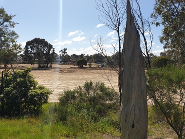 Photograph - Photograph - Digital Image, Marilyn Smith, Greensborough College: new sports oval under construction, 04/09/2020