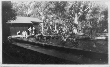 Photograph - B/W, C 1950