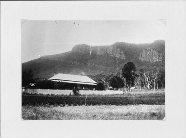 Photograph - B/W, 1902-1906