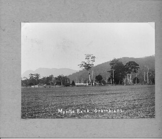 Photograph - B/W, C 1912- 1914