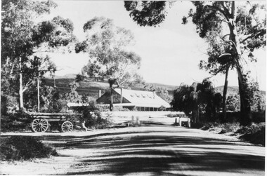 Photograph - B/W, C 1918