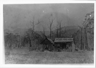 Photograph - B/W, C 1890-1894