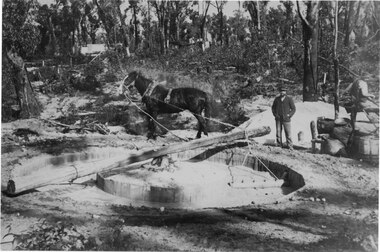 Photograph - Sepia, C 1900