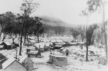 Photograph - B/W, C 1900